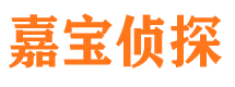 宝应侦探公司